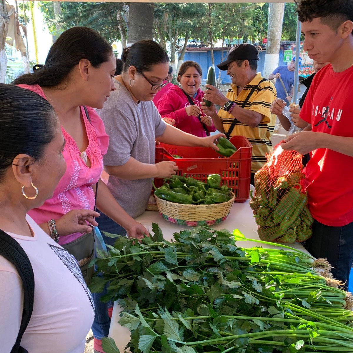 Fotografía dun proxecto de desenvolvemento de Asemblea de Cooperación pola Paz. Mercado de produtos da horta